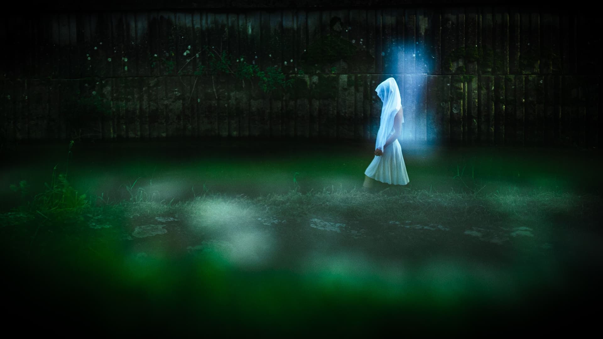 LET24 FESTIVAL gallery 1